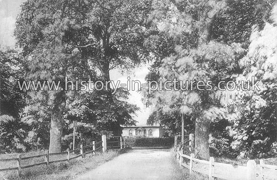 Bowyer's Bridge, Dunmow, Essex. c.1906